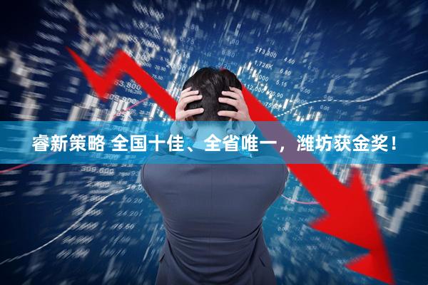 睿新策略 全国十佳、全省唯一，潍坊获金奖！